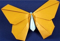 Origami Tradicional - Workshop de Origami
