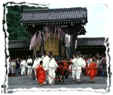 aoi festival