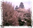 himeji castle