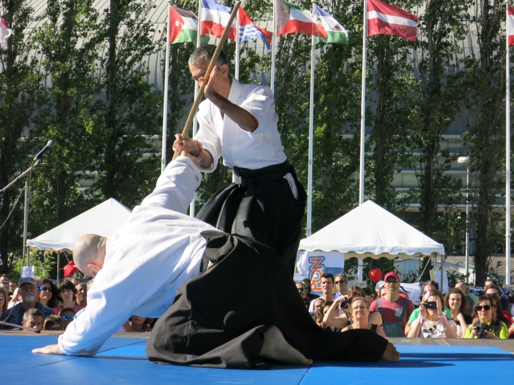 Demonstração de Artes Marciais