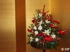 A picture is displayed.