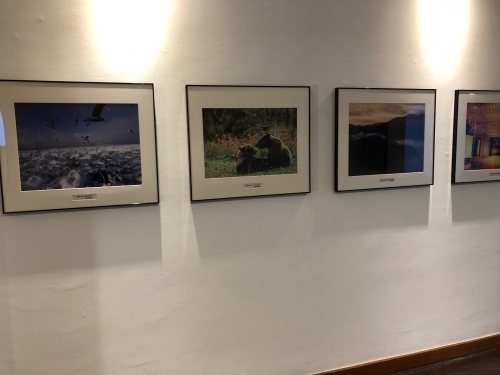 obras da exposição