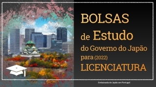 Video licenciatura